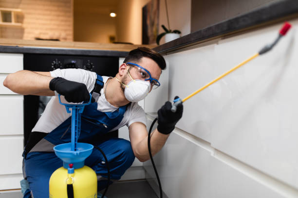 Reliable Downs, IL Pest Control Solutions