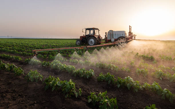 Best Pest Removal Services  in Downs, IL
