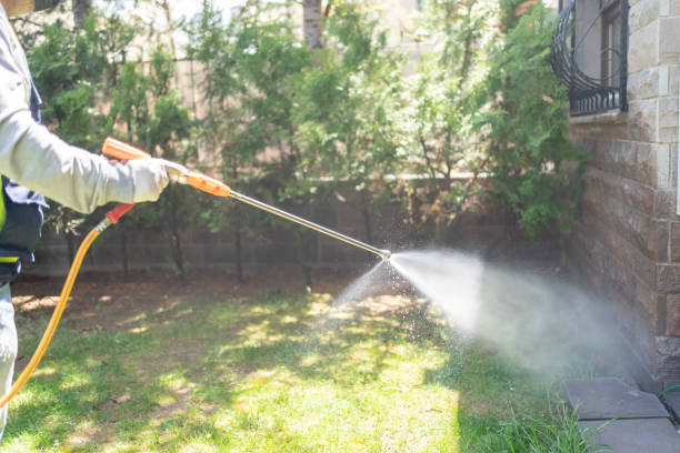 Best Affordable Pest Control Services  in Downs, IL