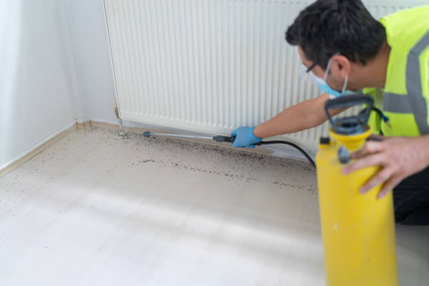 Best Best Pest Control Companies  in Downs, IL
